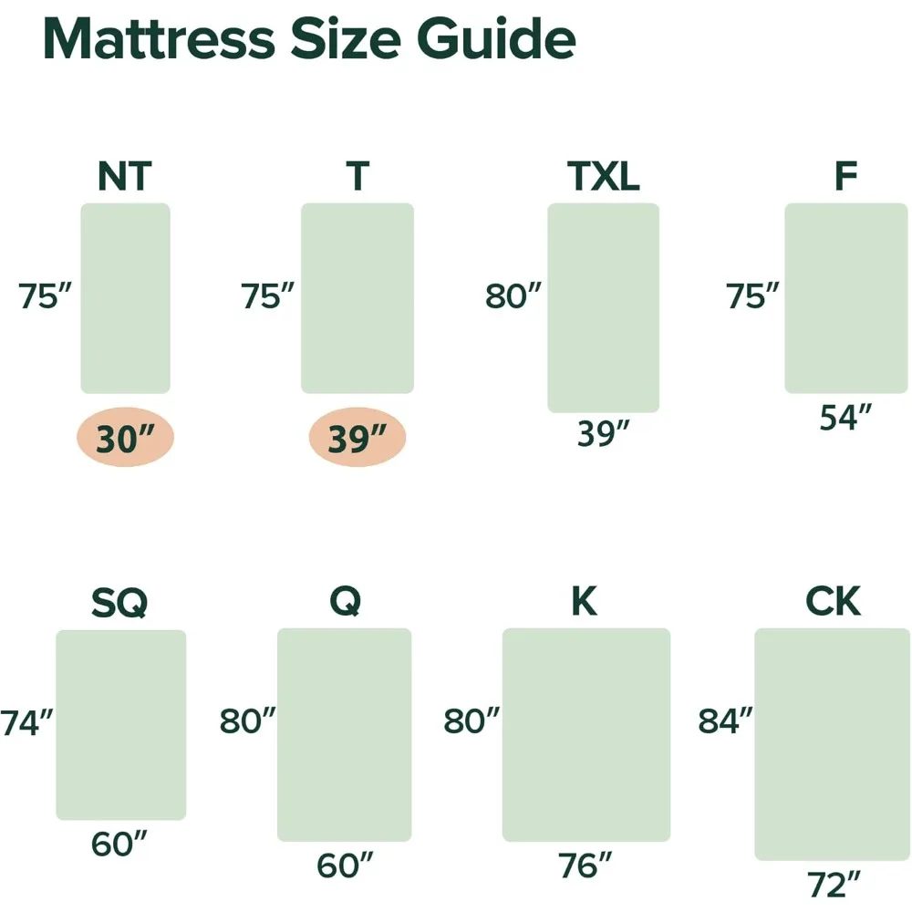 مرتبة Zinus بإسفنج الذاكرة للشاي الأخضر مقاس 6 بوصات - إصدار جديد، خالية من الألياف الزجاجية، متوسطة الحجم، لتخفيف الضغط، معتمدة