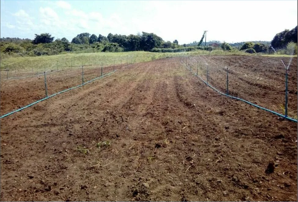 농업용 스테인리스 스틸 스털링 엔진 태양열 물 펌프