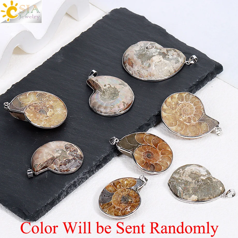 CSJA Vintage Natural Stones Pendants Ammonite Seashell Snail  Ocean  Conch Animal Necklace Statement Men Summer Jewellery E252