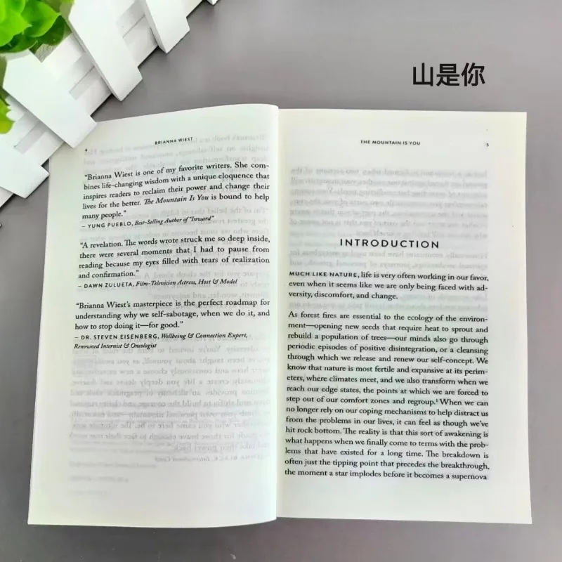 산은 당신이다: 자기 파괴를 자기 통제로 변화시키기 영어 책