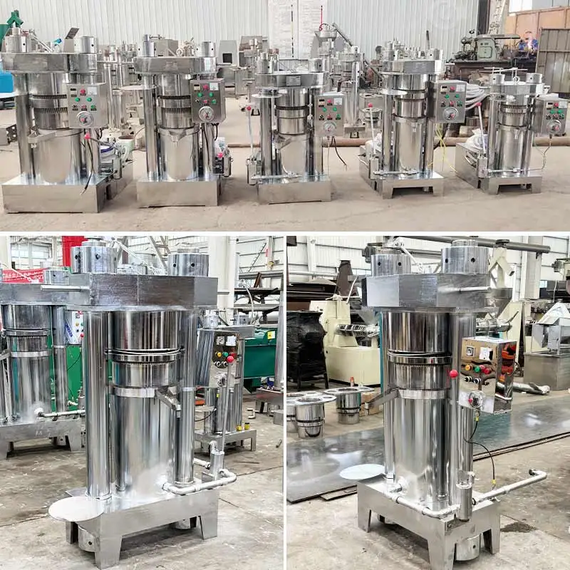 Hydraulic Cold Press Cocoa Butter Sesame Seed Coconut Olive Avocado Oil Process Pressing Extraction Machine