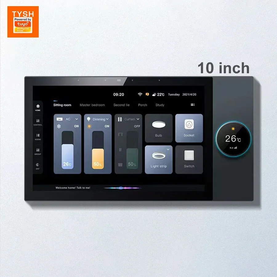 TYSH 2 Gang Relays 2 Way Speakers Multi-functional Tuya 10 Inch Central Control Panel With Music Play Smart Home Products