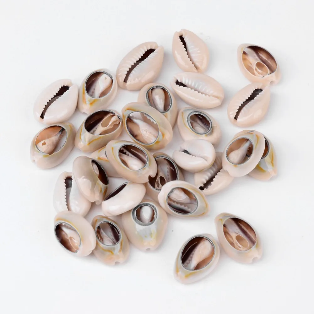 Cowrie Shell Beads No Hole/Undrilled Seashell Color 18~22.5x13~17x6~8mm 340pcs/500g