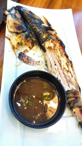 실물 포토 리뷰