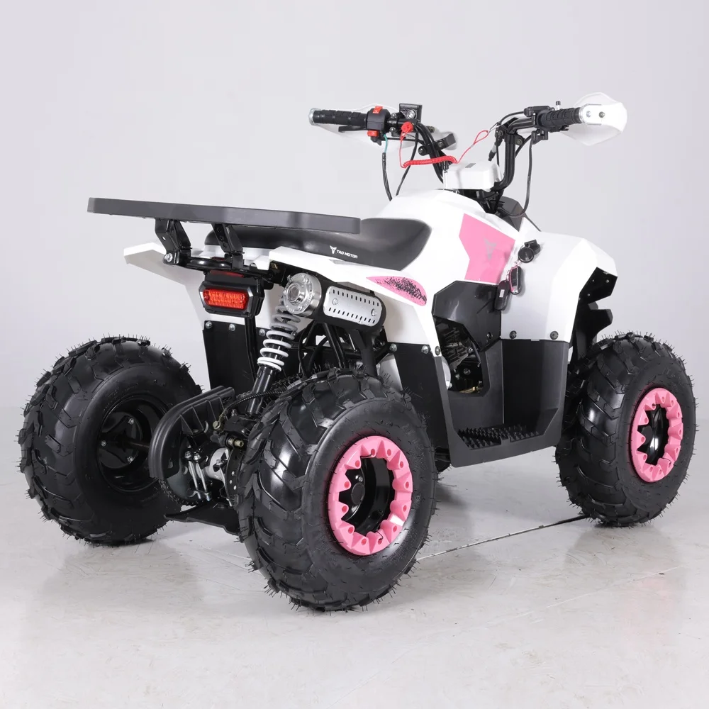Tao Motor Hot Selling Chinese Cheap Kids 110cc ATV Automatic Xpro 125cc Gas Motorcycle Xag P100 Drone Fly Motor Cover Atv F1