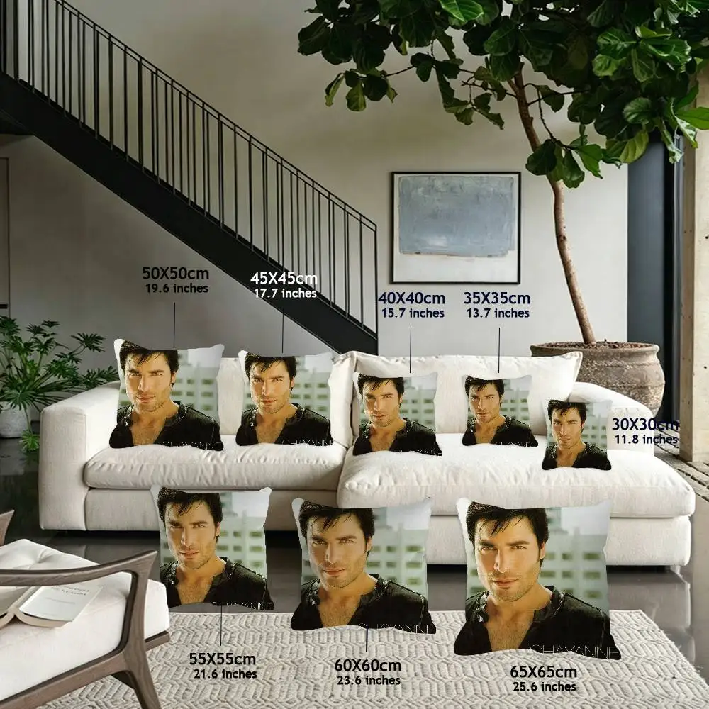 Singer meme C-Chayanne Bailemos Otra Vez Cushion Cover Comfortable Pillow Case for Sofa Living Room Home Decor Protective Covers