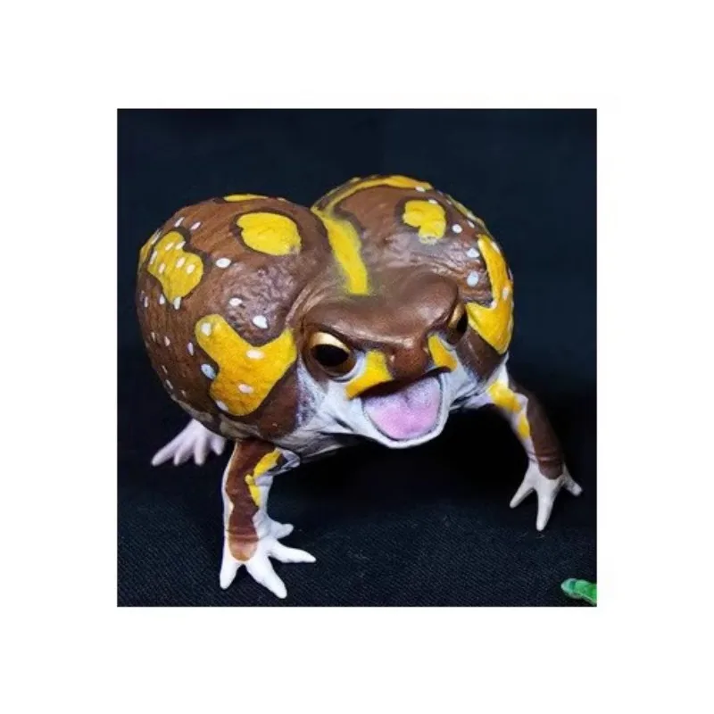 1/1 Original SO-TA Gashapon Amphibian Simulation Tree Frog Qversion Mini Anime Action Figure Model Toys Gift Collection Ornament