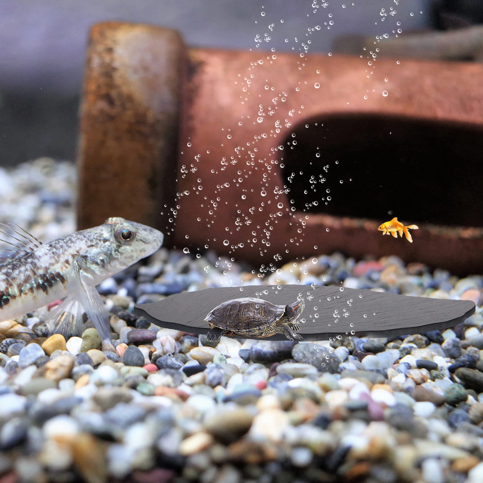 

Tank Turtle Board Decorative Rocks Basking Platform Household Turtle Supply Tortoise Rest Stand Fish Tank Decoration