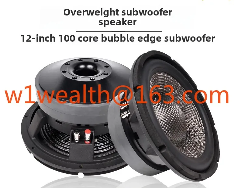 SUINY/Shu Yin 12 inch 100 core bubble edge overweight subwoofer horn imported carbon fiber paper cone 220 magnetic 20 double