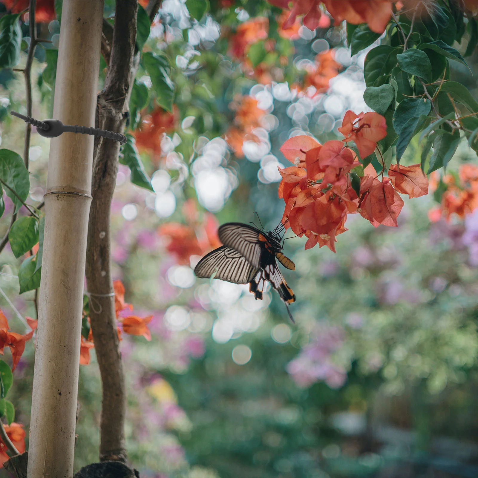 

24Pcs Reusable Silicone Cable Ties Self Locking Cord Organizers for Wire Management Strap Home Office Electronics Charging