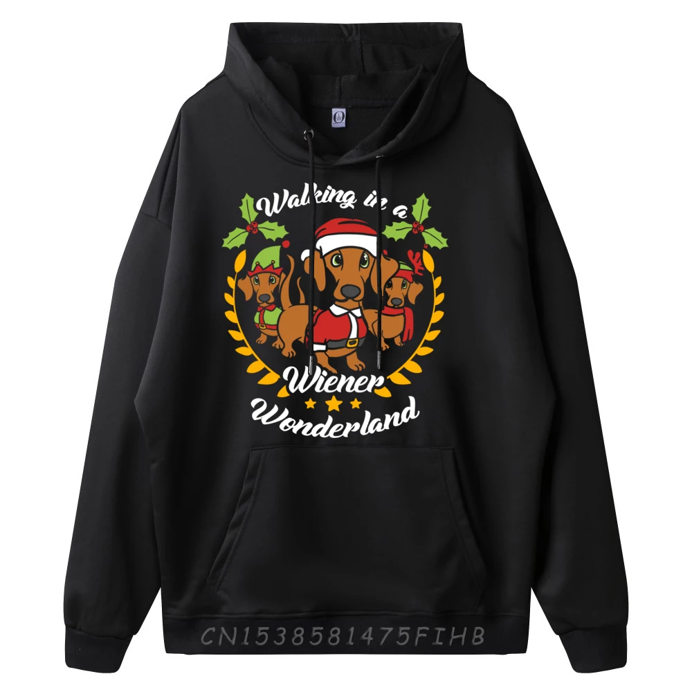 Walking In A Wiener Wonderland Santa Dachshund Dog Christmas Funny Pullover Hoodies Camiseta