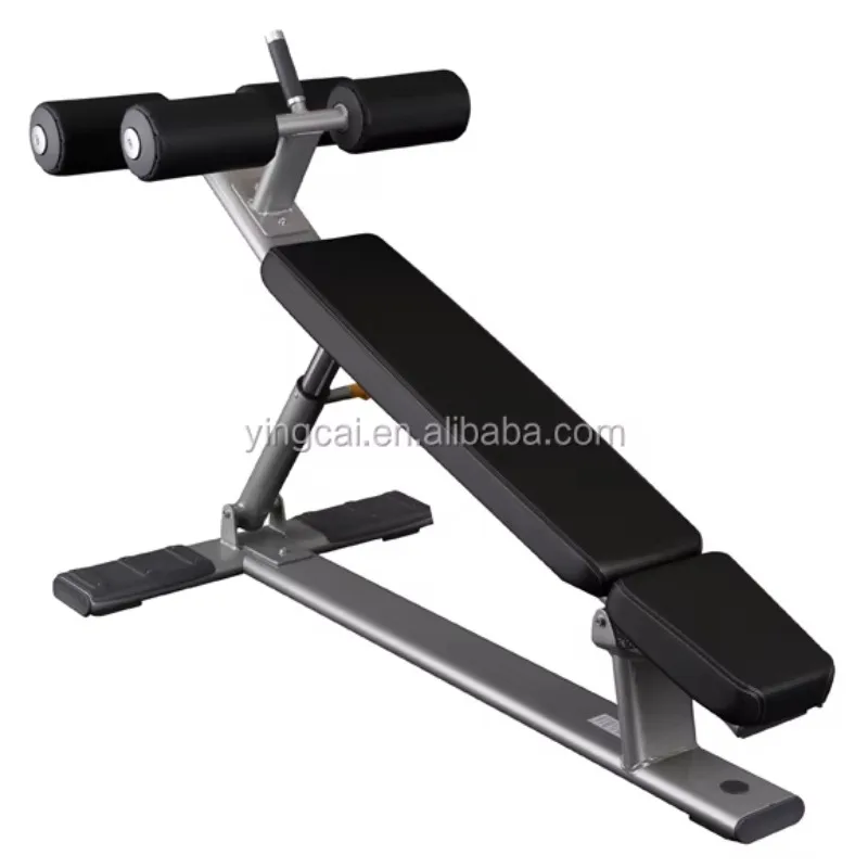 

Adjustable Steel Commercial AB Bench for Bodybuilding & Weight Loss Fitness Equipment