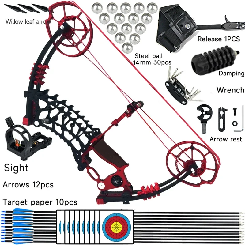 Steel Ball Metal Compound Bow Pulley Bow 30-70Pound Outdoor Hunting and Shooting Practice Package  Left Right Hand Hunting Bows