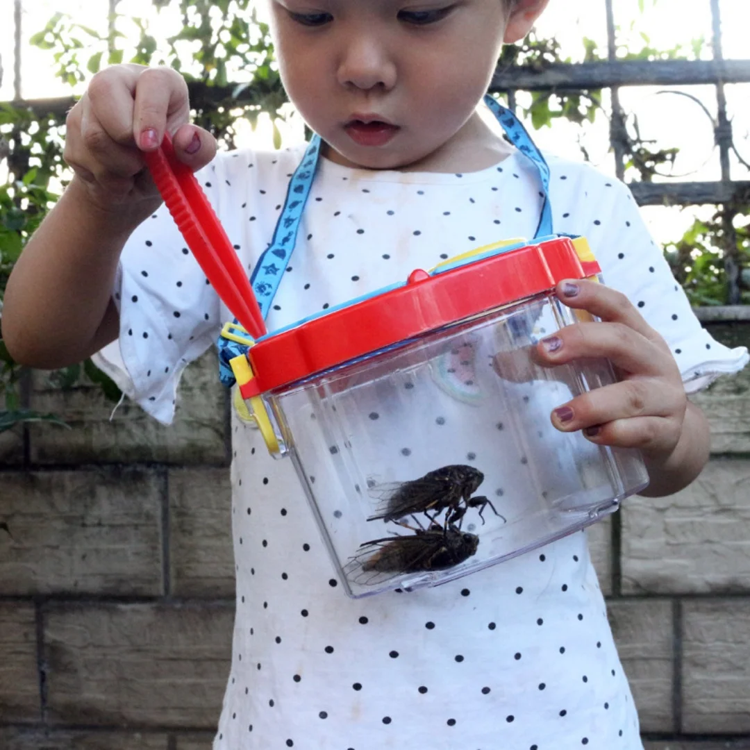 Kids Magnifying Glass 40mm Insect Viewer Masgnifier w/ Tweezer Lanyard Educational Science Exploration Toy Children Gift Box
