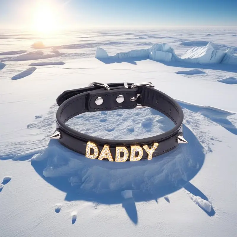 

Sexy Women PU Leather Choker Collar Goth Punk Chocker Trendy Personalized Letters DADDY Crystal Jewelry Party Hiphop Necklace