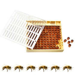 Apiculture kit Bee Nicot Plastic Hatch Queen Rearing Swarm Box Breeding With Brown Cell Non Larva Worm Grafting Transferring