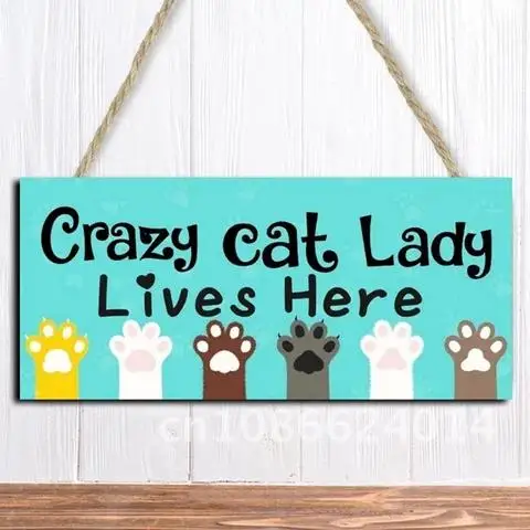 Unusual Hanging Wood Plaque Decoration for Cat Lovers Crazy Cat Lady Lives Here Family Home Gift