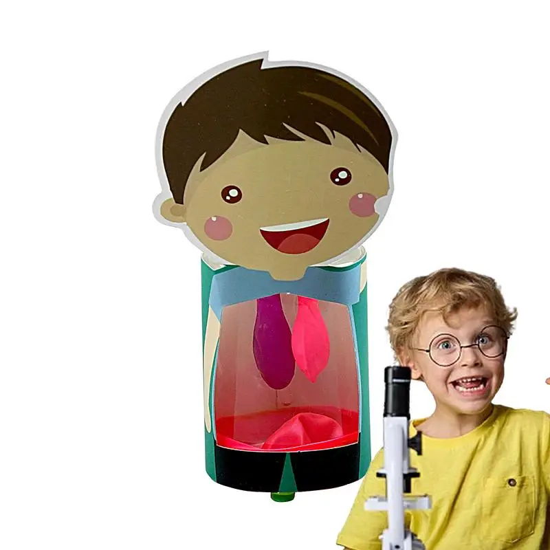 Lung Model For Kids Lung Anatomy Assemble Model Educational Toy Science Toys Preschool Teaching Aid Human Body Organs Awareness