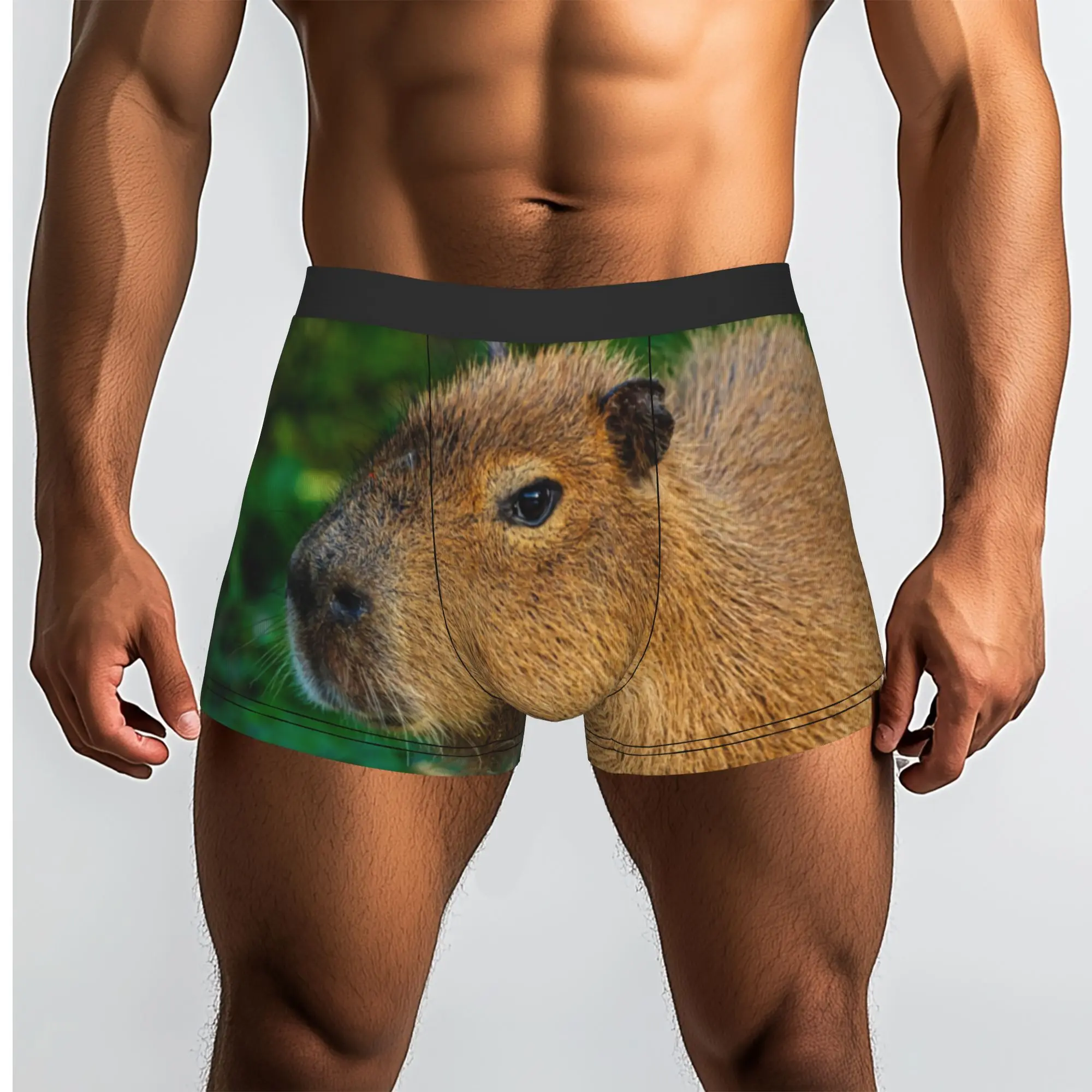Custom Male Novelty Capybara deep in thought Underwear  Boxer Briefs Stretch Shorts Panties Underpants