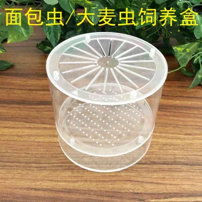 A A Mealworm Live Feed Feeding Box Bread Worm Zophobas Morio Live Feed Acrylic Feeding Box Tool