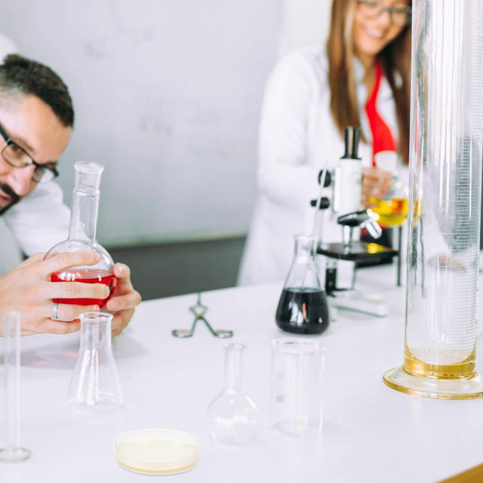 Agar Plates Mycologie Voedingsstof Experimentbenodigdheden Aardappel Wetenschap Feest Voorgegoten Petrischaal