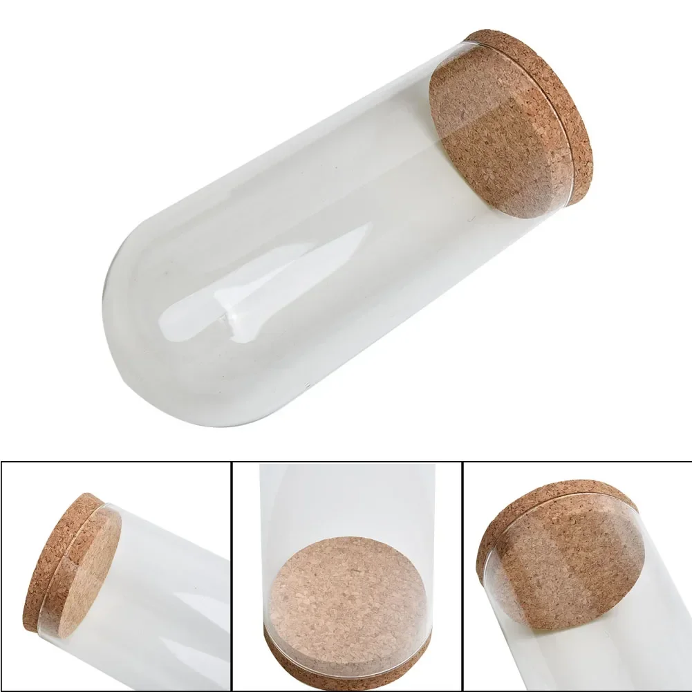 For DIY Flower Plants Vase Table Ornaments Home Decoration Glass Dome Cloche Cover Wood Cork Base Microlandscape Holder Bell Jar