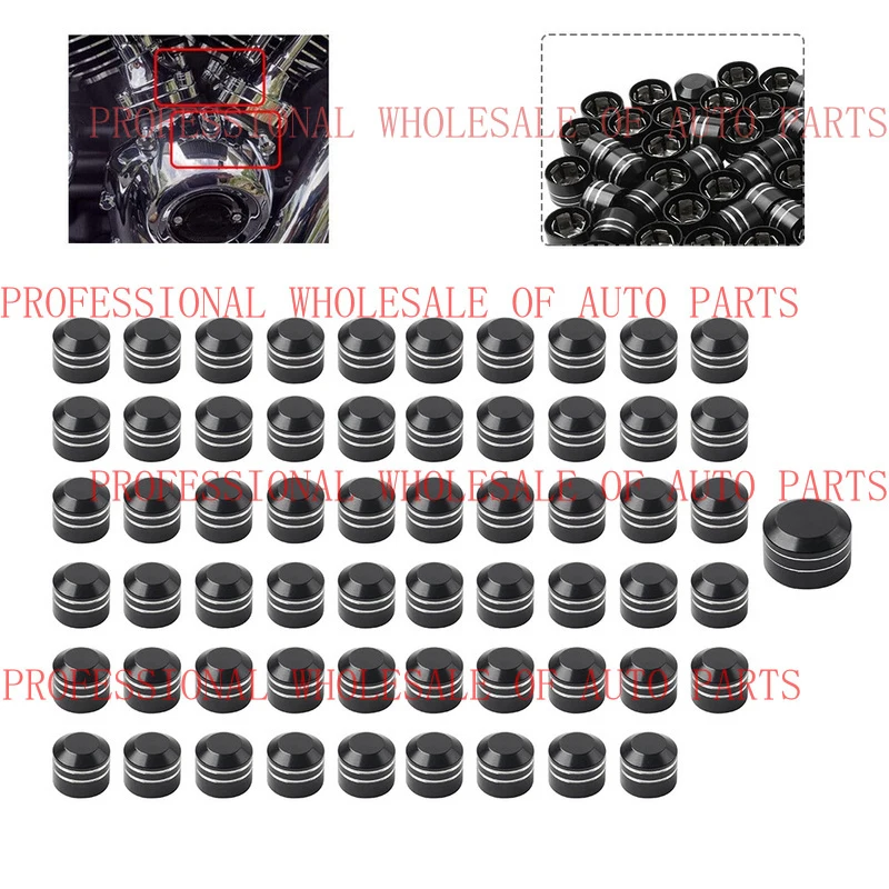 V+ 60x Engine Bolt Caps for Harley Twin Cam Electra Road Glide King Dyna