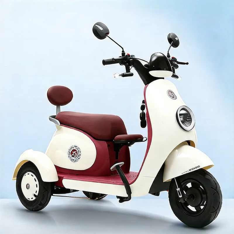 Wholesale 3-Wheeled Electric Tricycle for Seniors & Children City Travel Open Body 48V Battery 300kg Load Capacity