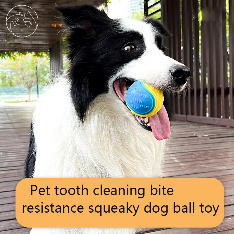 Juice Pet Squeaky Dog Chew Toys Interactive Dog Toys for Play Exercise and Training Inch Easy Catching Dog Ball Toys