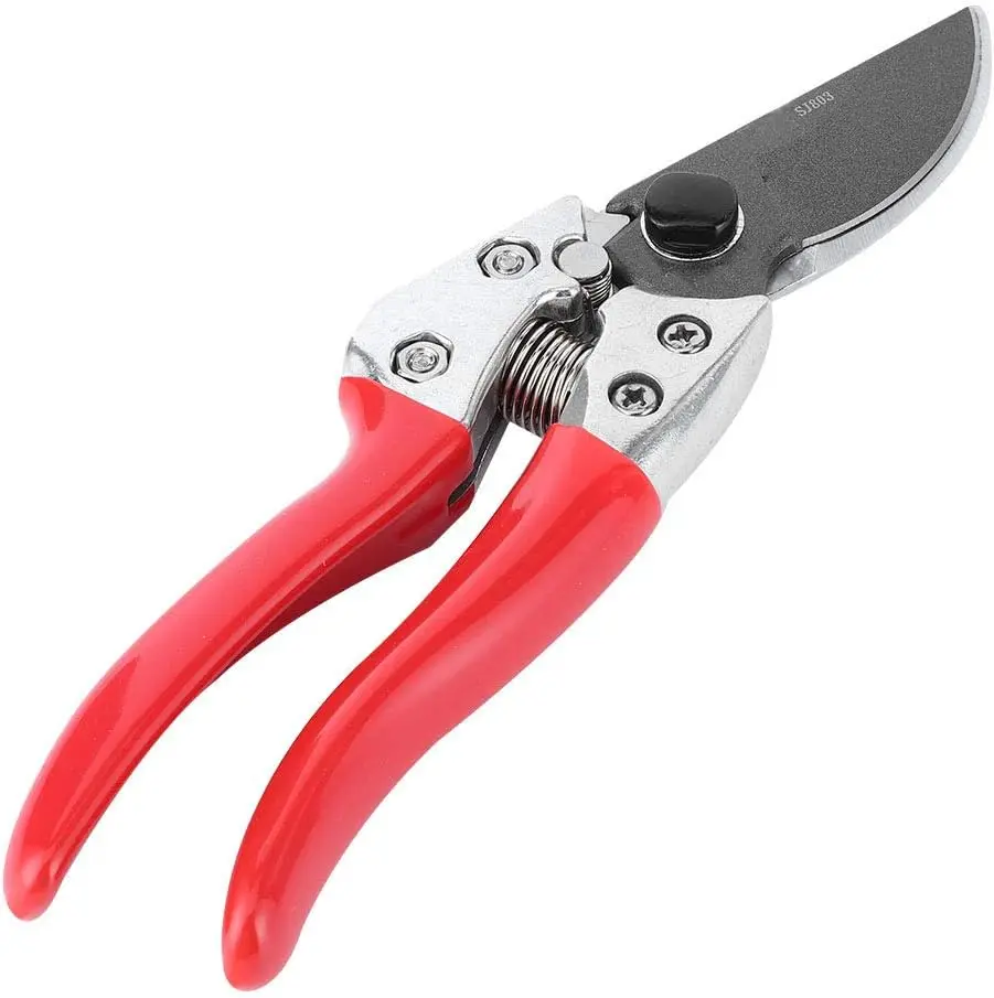 Garden Pruning Shears,  Scissors for Plants, Branch Clippers, Garden Pruner for Fruit Tree Flower Branch Trimming, Gardening Han