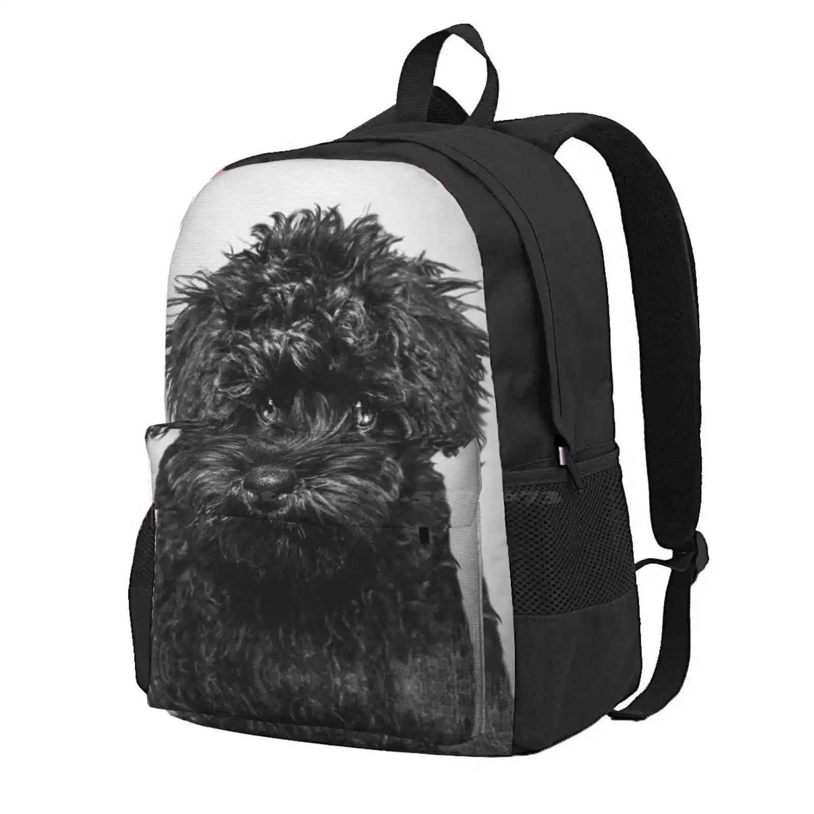 Toy Poodle Dog - Bw Vintage - D86 Hot Sale Schoolbag Backpack Fashion Bags Toy Poodle Dog Toy Poodle Portrait Black And White