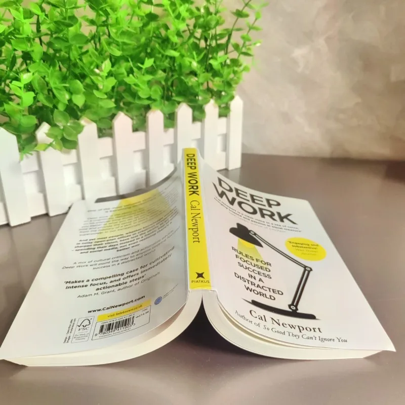 Englische Version von Deep Work: A Distracting World Englische Version Deep Work Englische Bücher