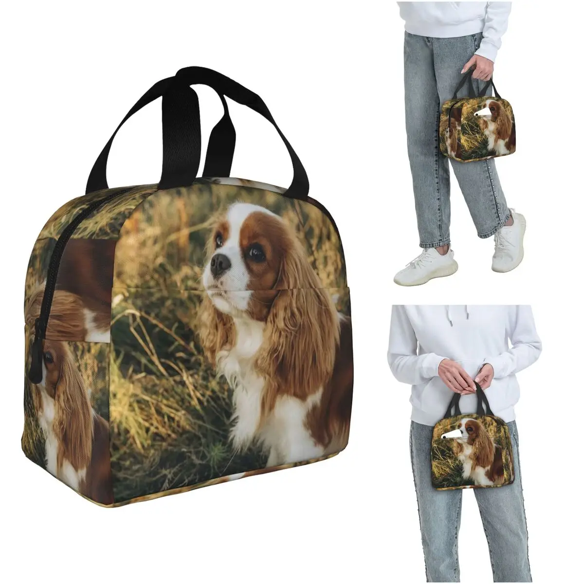 

Custom Cavalier King Charles Spaniel Square Insulated Lunch Bag for Women Children Portable Food Boxes Thermal Lunch Box Tote