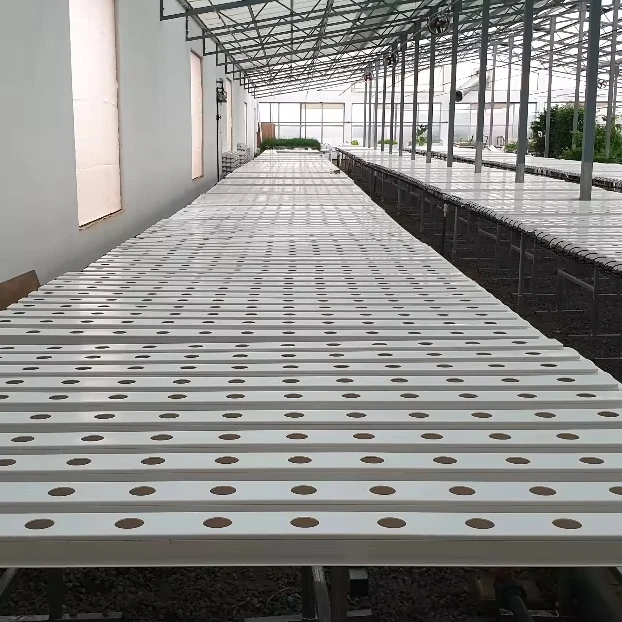 

Customized greenhouseLettuce Horizontal Mode NFT Pipeline Hydroponic Cultivation System Greenhouse with PC Glass Film Covering