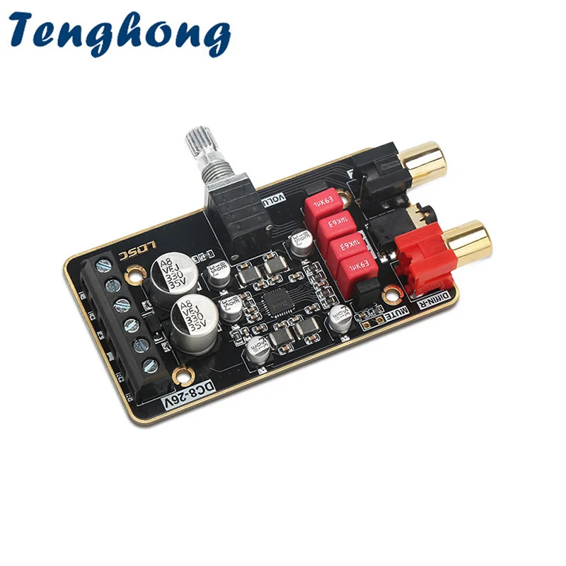 Tenghong PAM8620 Di…