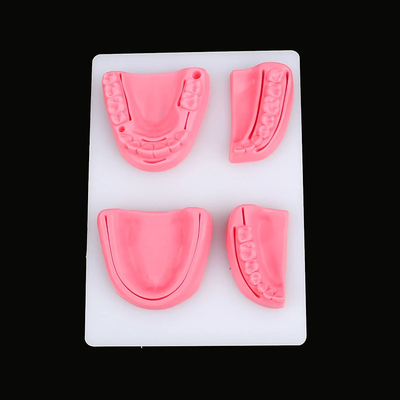 4-teiliges Dental-Simulationsmodell für Mundnaht, Zahnfleisch-Naht-Trainingsausrüstung – Detail 6