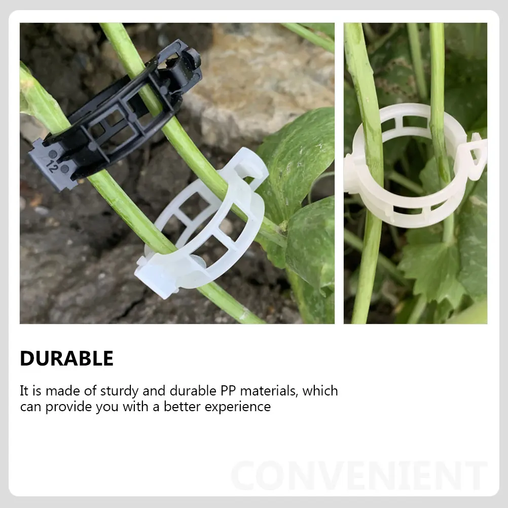 

Plant Clips Clamps for Vines Vegetable Grafting Plastic Tomato Support Gardening Fixing
