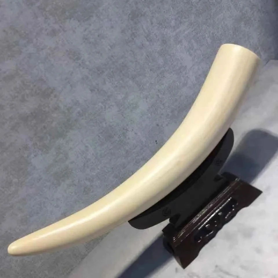Genuine Mammoth Ivory Base Dental Decoration High-End Decoration Living Room Porch Housewarming Decoration Gift