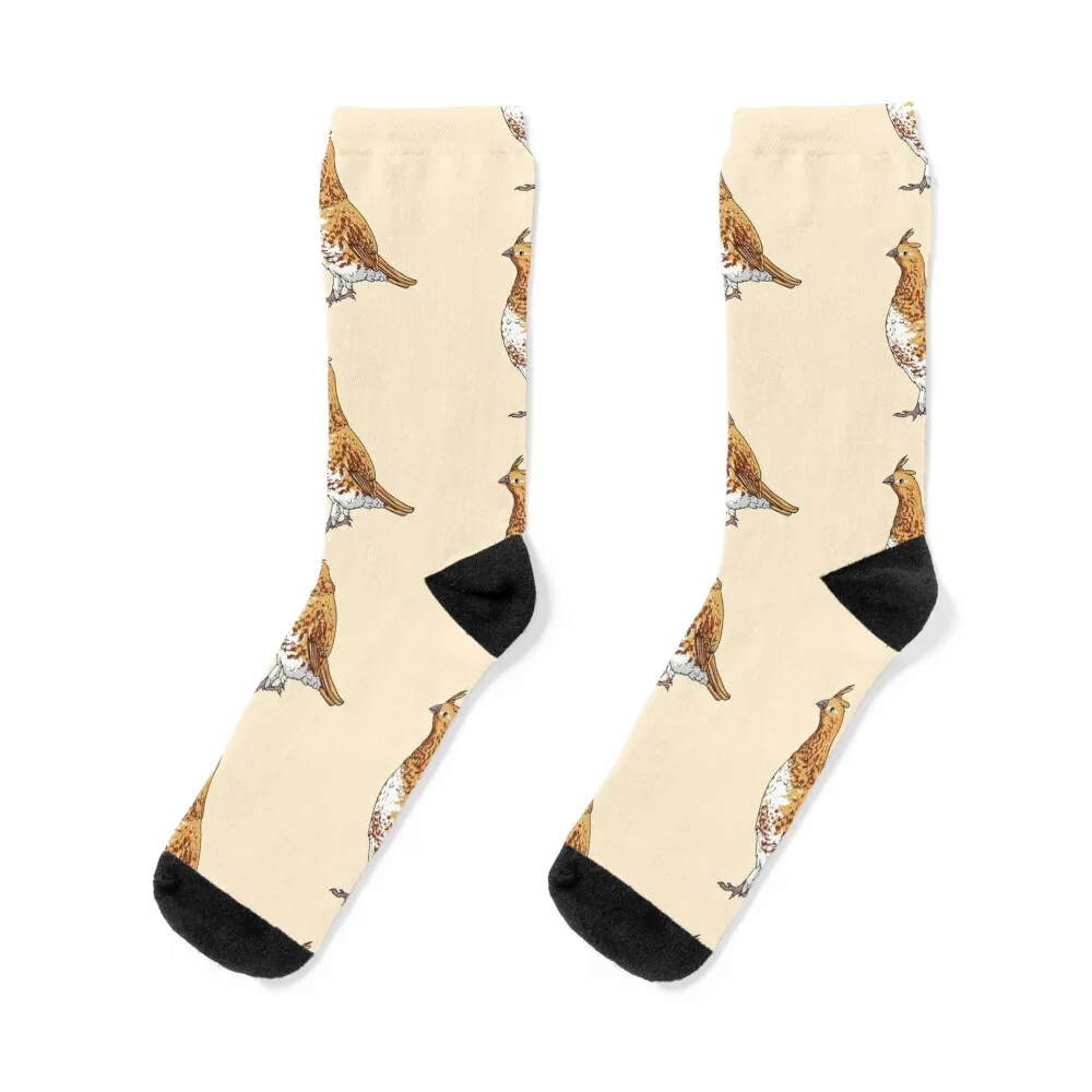 Ruffed Grouse State Bird of Pennsylvania Socks winter gifts Stockings Wholesale Non-slip Women's Socks Men's