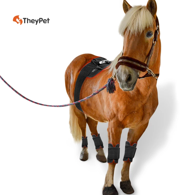 Physical Horse Blanket LED Red Light Therapy Horse Belt Light Therapy Pad For Pet High Quality Infrared Light Therapy