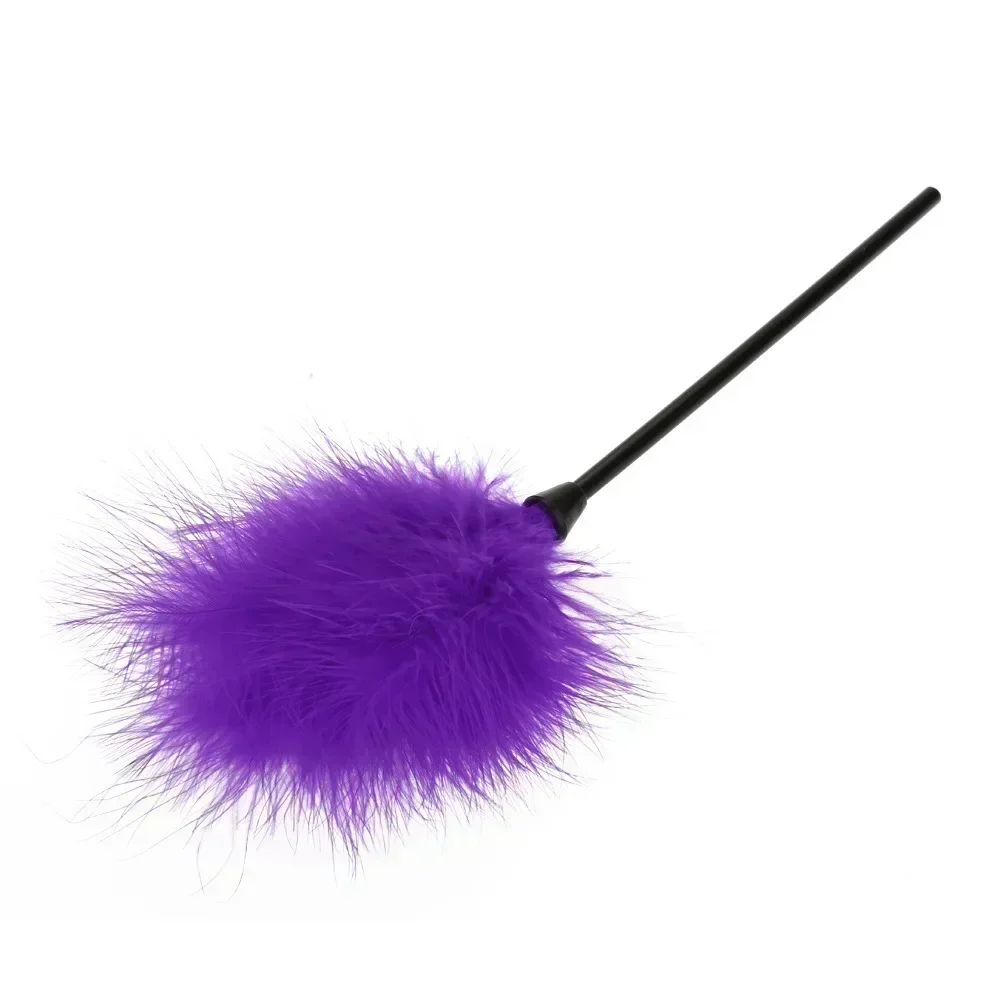 ของเล่น Feather Wand Teaser ตุรกี Feather Interactive Toy Wire Chaser Wand ของเล่นสีสุ่ม