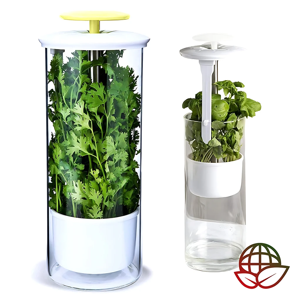 Refrigerator Herb Crisper Saver Pod Container Vegetable Preserving Bottle Keep Herb/Cilantro/Mint/Parsley/Asparagus Fresh Green