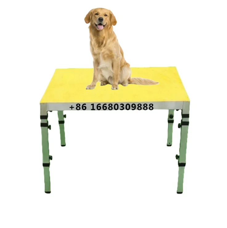 USMILEPET Best Seller Steel Pet Agility Training Pause Table Dog Training Equipment For Outdoor Training Dogs