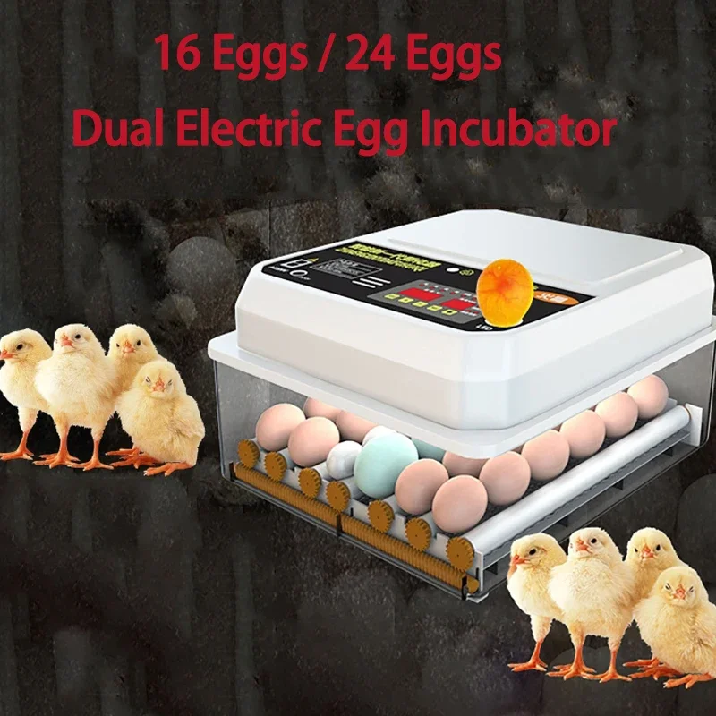 24 Eggs Fully Automatic Turning Egg Incubator Farm Poultry Dual Electric Mini Household Brooder for Chicken Goose Duck Bird