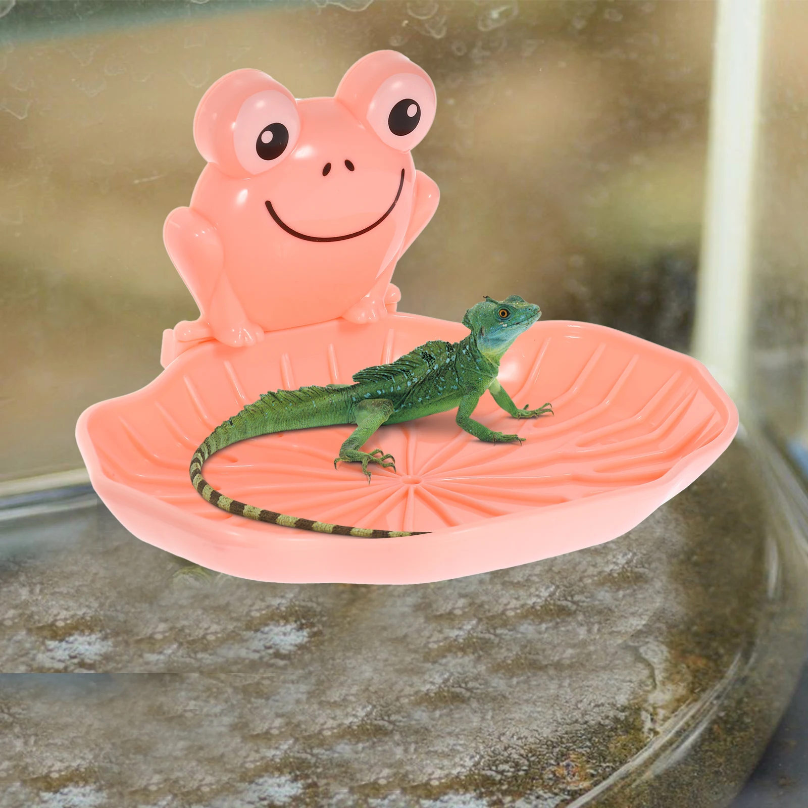 

Terrarium Accessories Reptile Platform Small Habitat Frog Gecko Tadpole Breeding Box Smooth Surface Easy Install Rest Place Pet