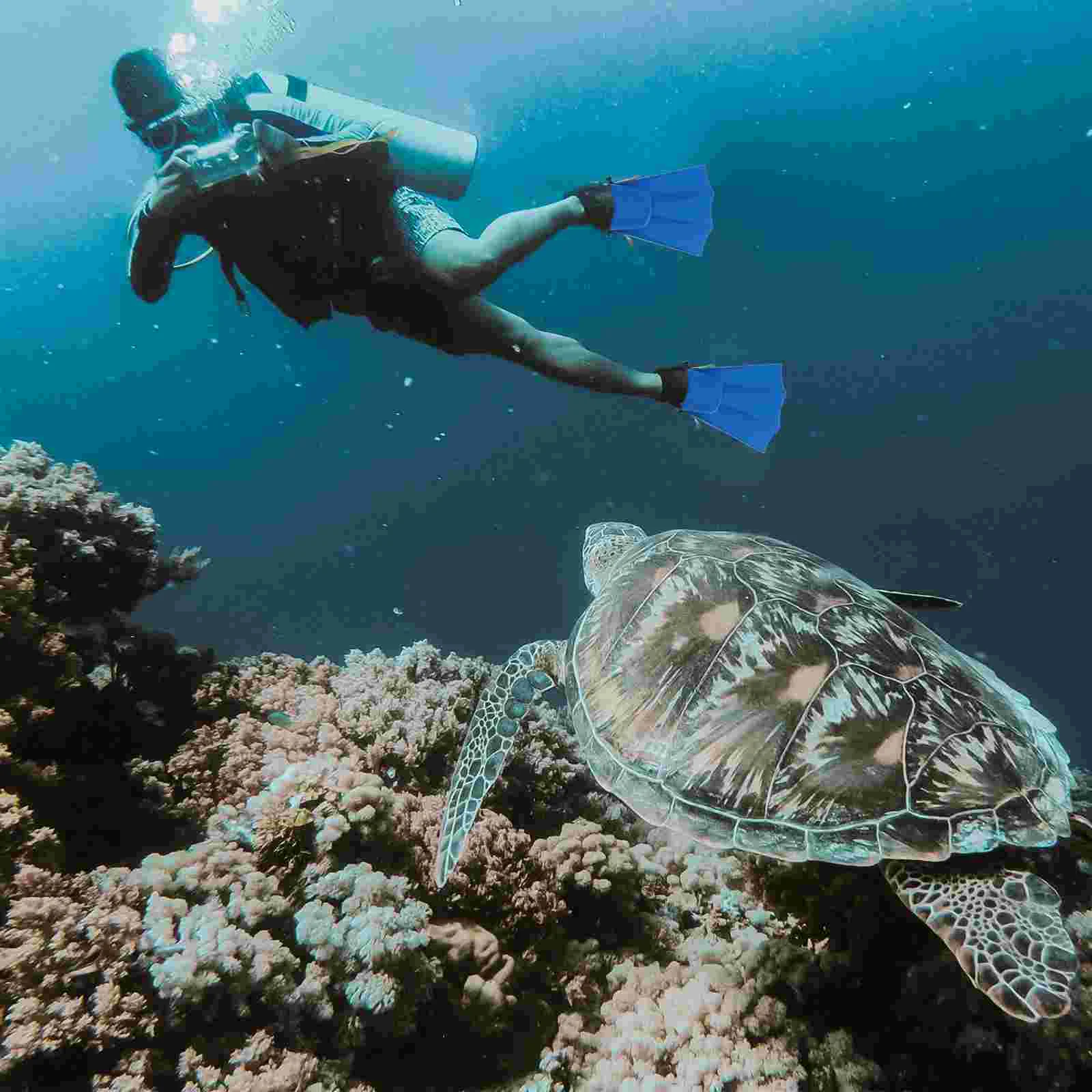 Aletas de snorkel para adultos, equipo de buceo, aletas de entrenamiento de goma azul y mujeres