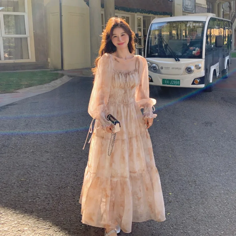 

2026 New French Printed Chiffon Long Sleeved Fairy Dress Summer Autumn Elegant Pleated Maxi Dress for Women