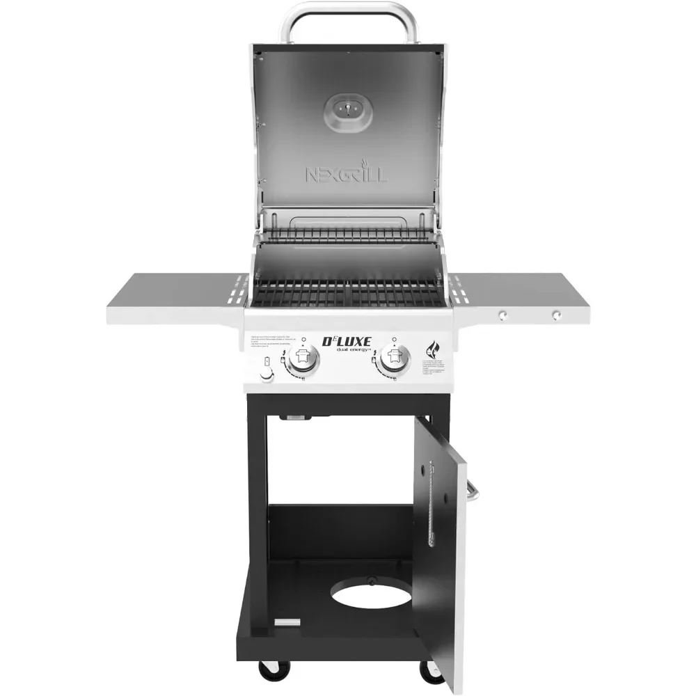 2-Burner Propane Gas Grill With Foldable Side Tables, 28,000BTUs, Convertible To Natural Gas