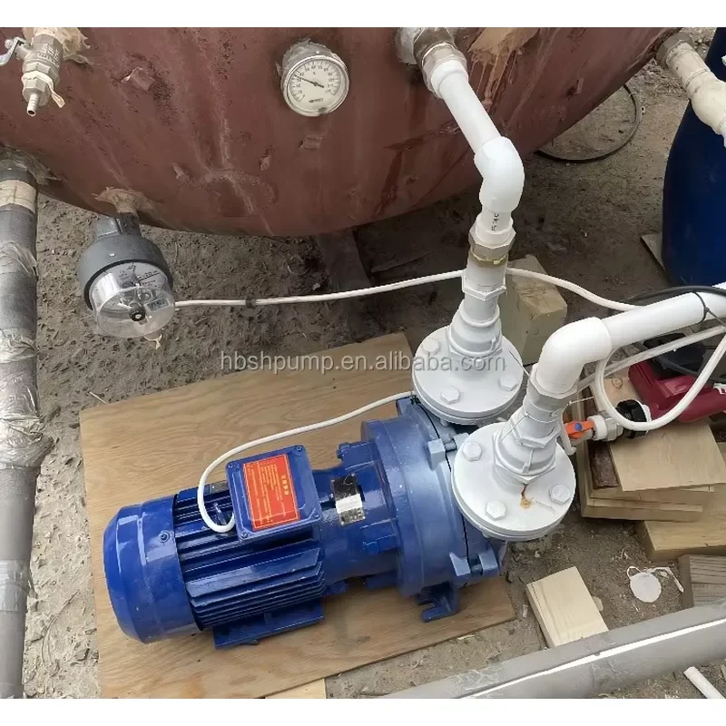 Factory Direct 2BV Single Two Double Stage Liquid Water Ring Vacuum Pump with Compressor OEM/ODM Customization
