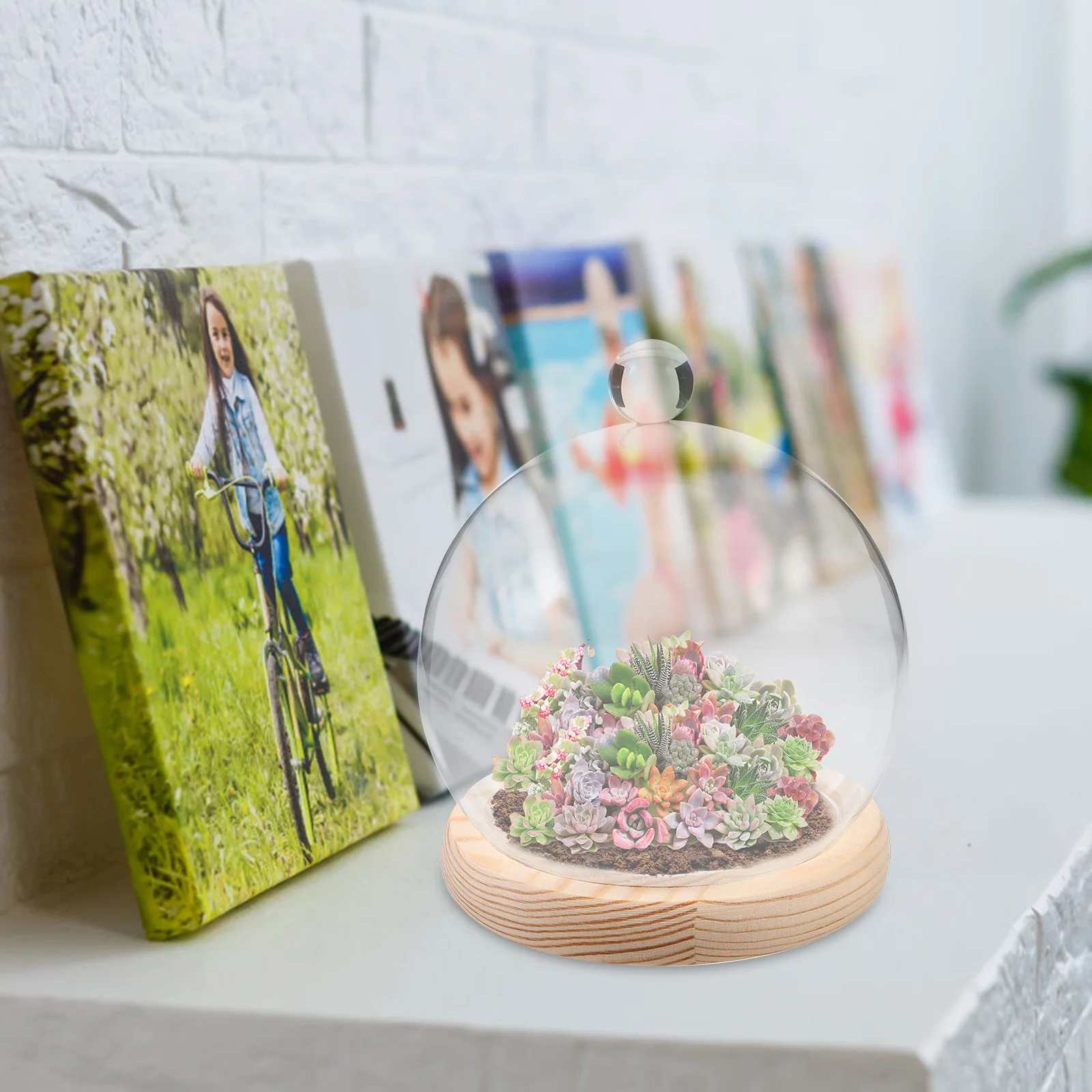 

Clear Glass Dome Preserved Flower Terrarium Wood Base Keepsake Display Cloche Dome Decorative Globe Preserved Flower Covers